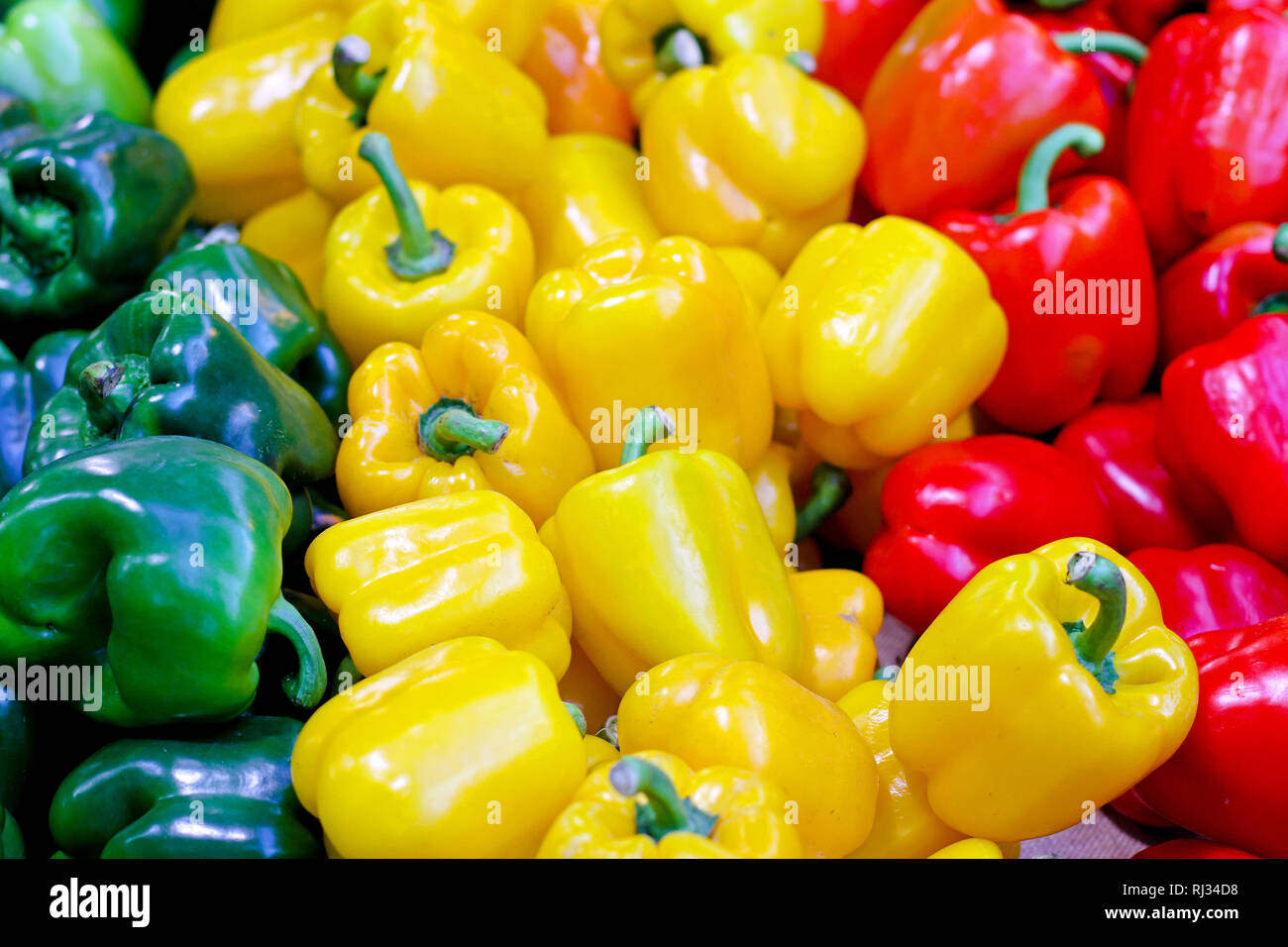 Bunch bell peppers farmers hi-res stock photography and images - Alamy