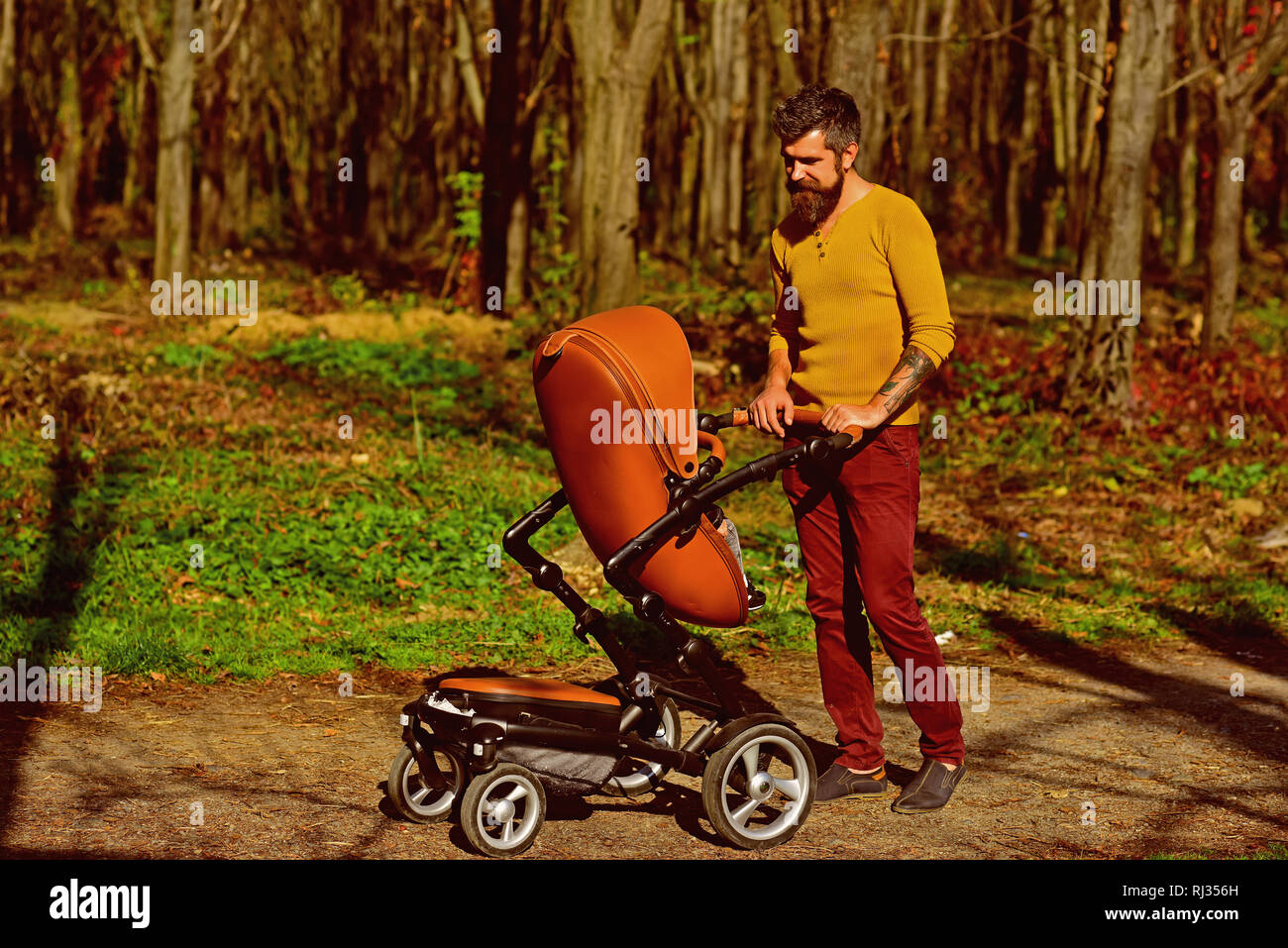 Father with pram on walk. Father push baby stroller in autumn park. This is what an awesome dad looks like Stock Photo