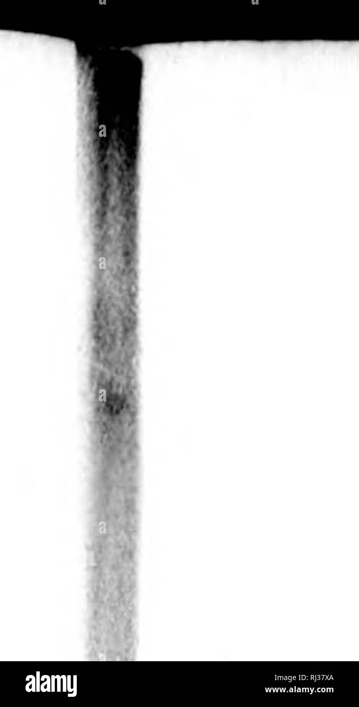 18 1 Fcn High Resolution Stock Photography And Images Alamy