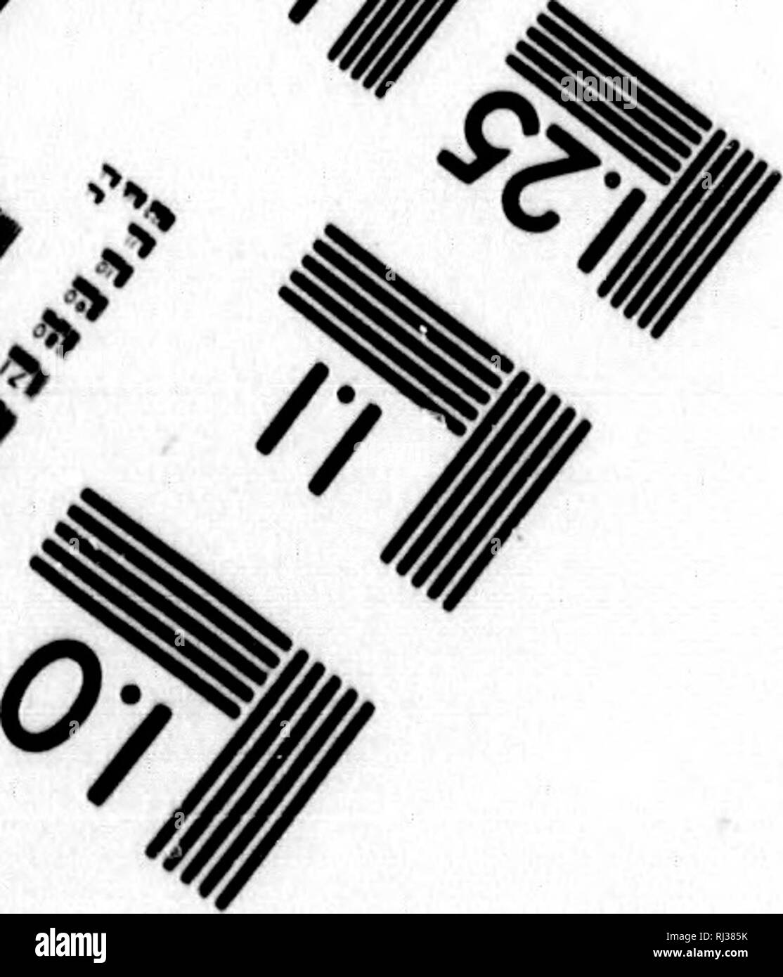 Get Buch philosophie Free