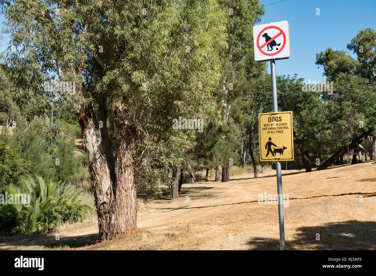 Signs advising owners to keep their dog on a lead and to clean up their excrement, Tamworth Australia. Stock Photo