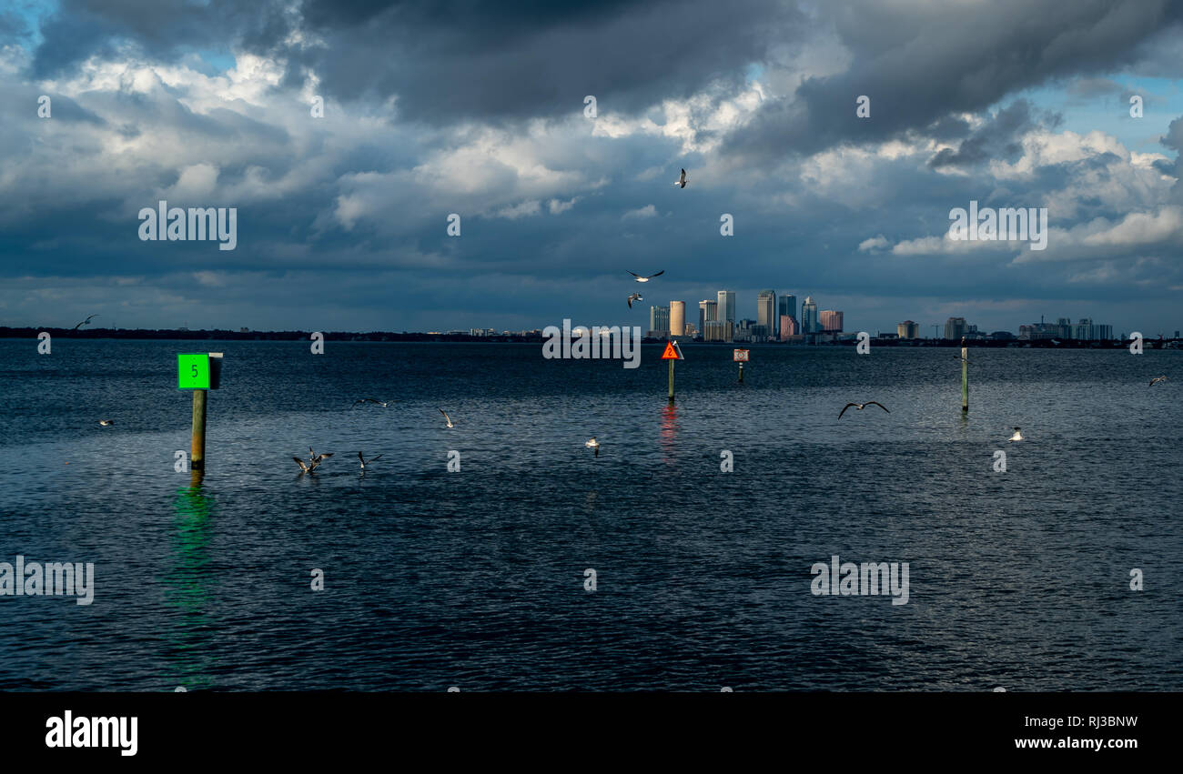 Just some of the magnificent beauty you can see from Ballast Point Park