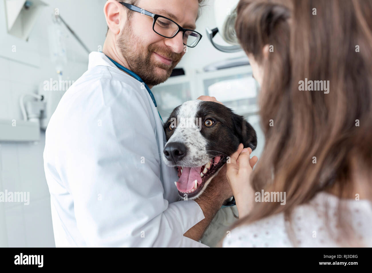 Dog with girl and veterinary doctor at clinic Stock Photo Alamy