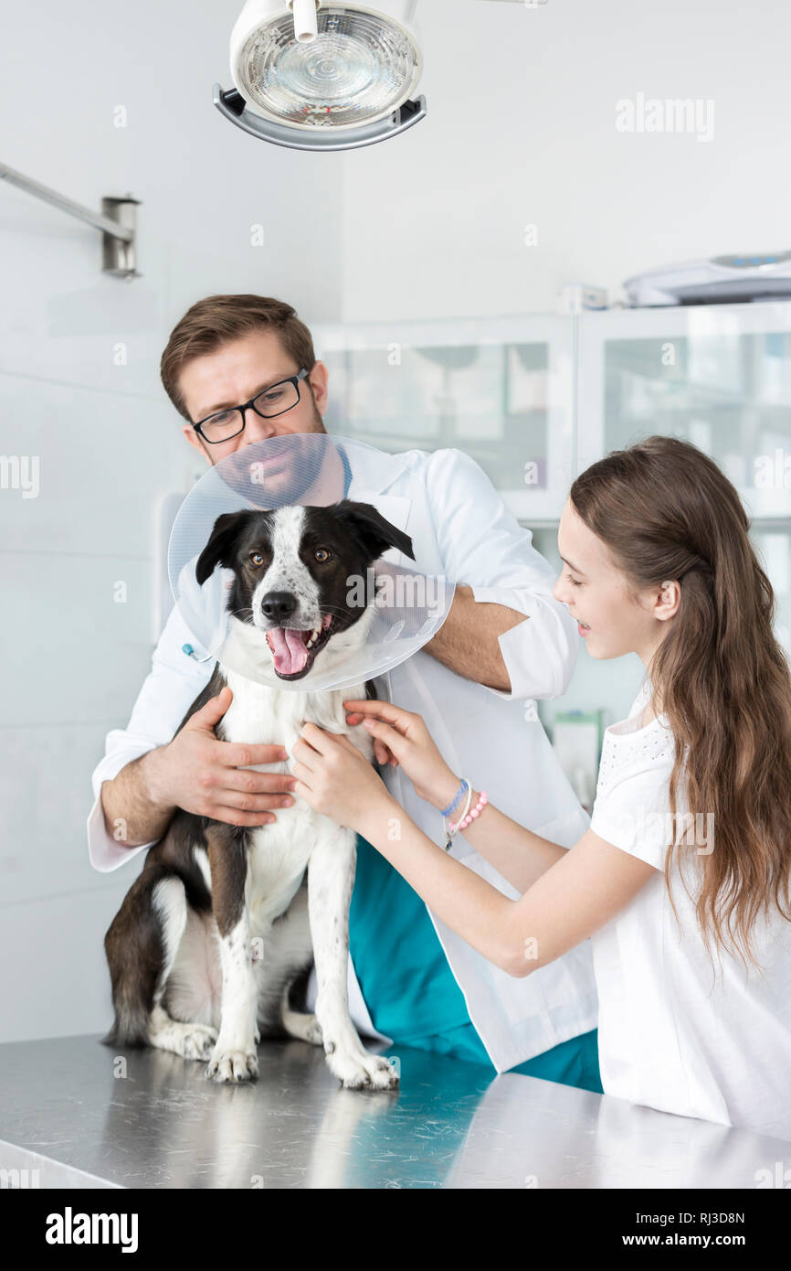 Doctor and girl holding cone collar on dog at veterinary clinic Stock Photo