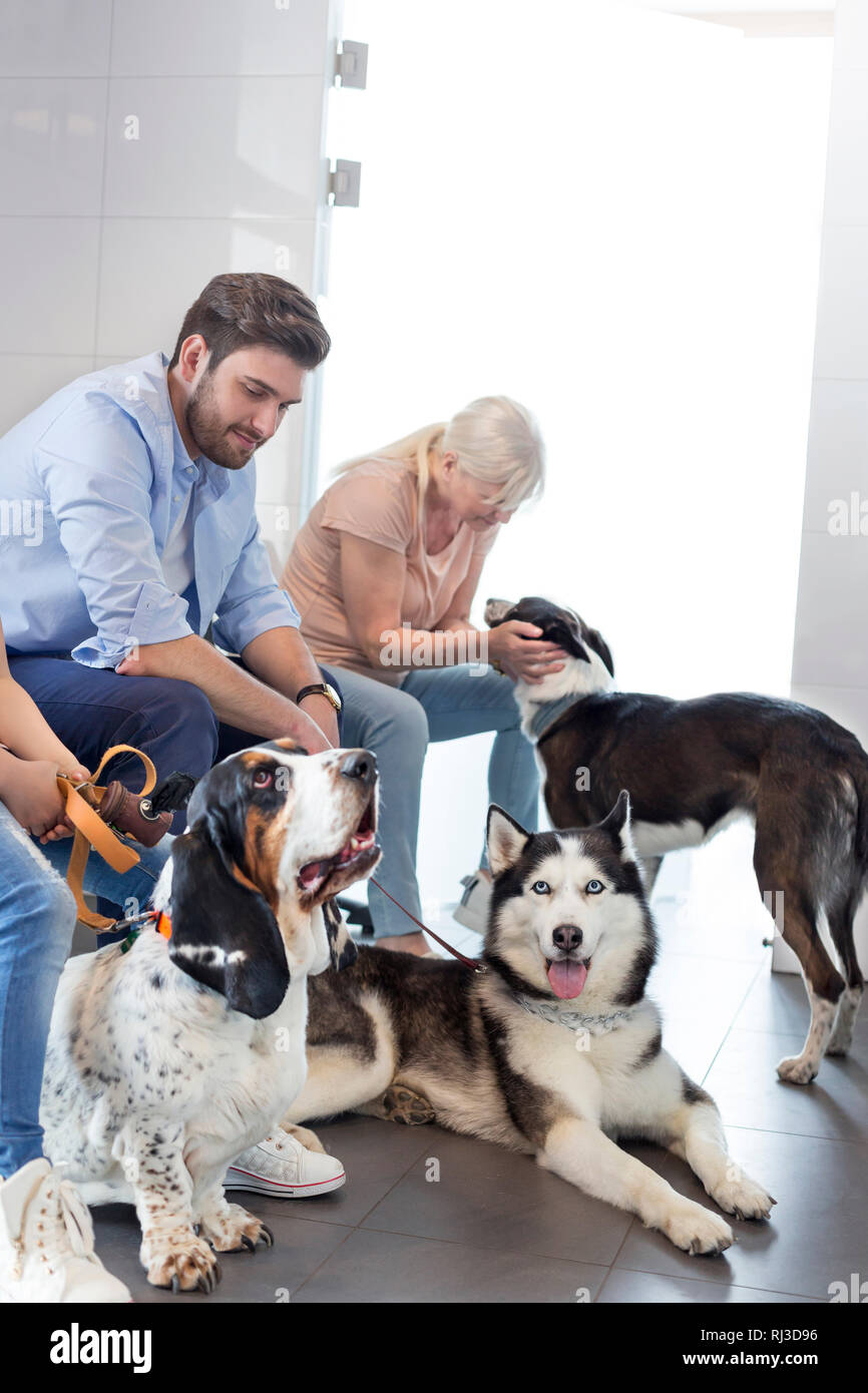 Pet owners waiting with dogs at veterinary clinic Stock Photo Alamy