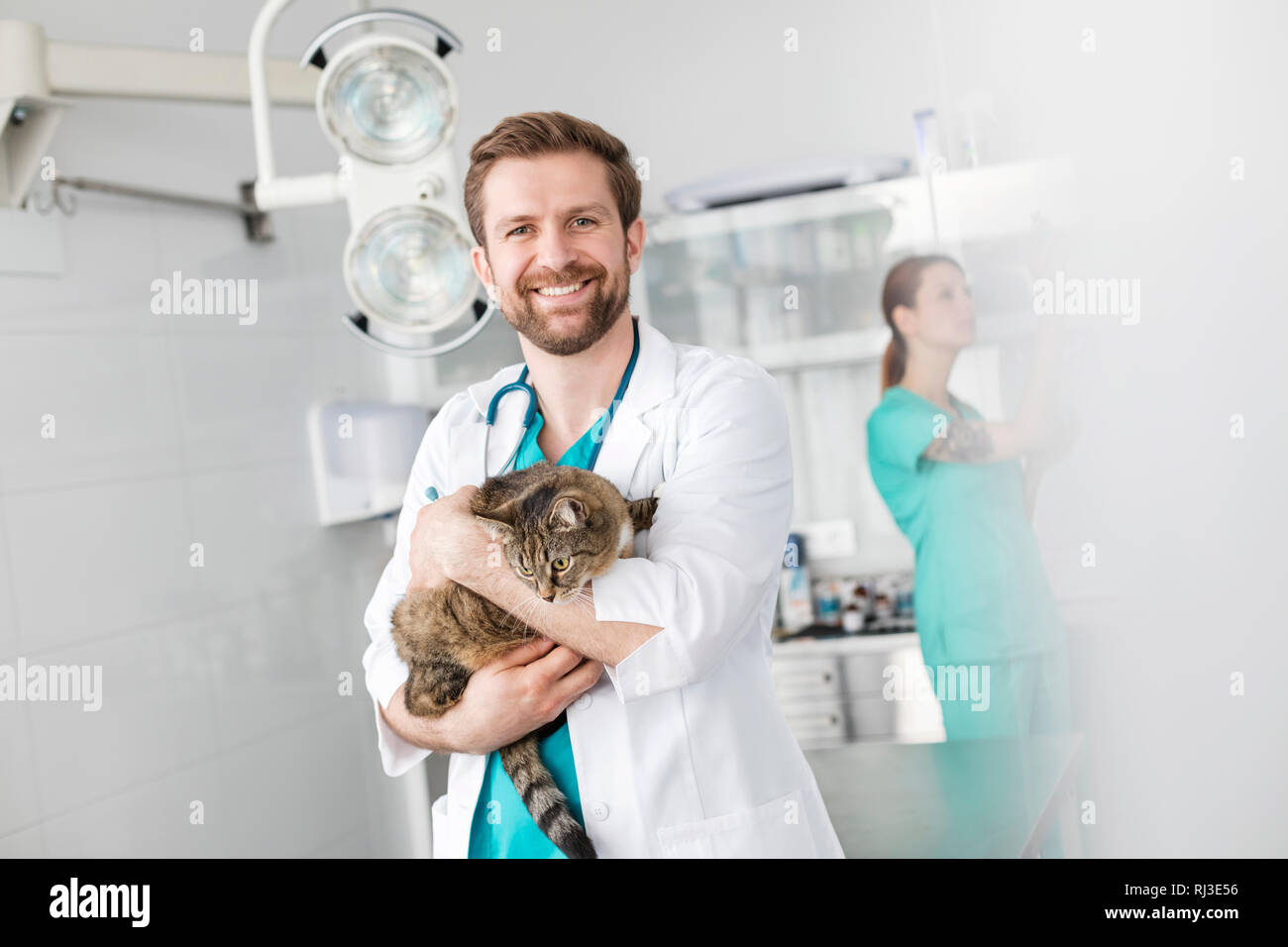 Portrait of smiling doctor carrying cat while standing against coworker at veterinary clinic Stock Photo