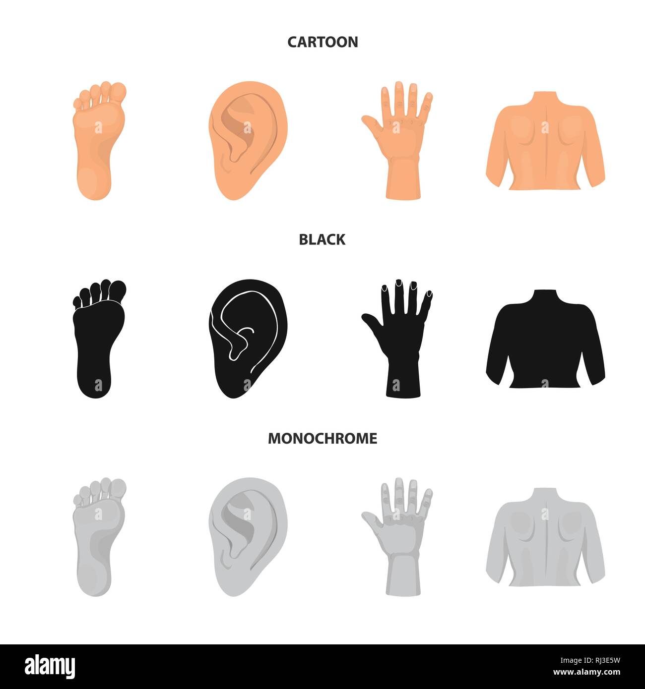 Isolated object of body and part icon. Collection of body and anatomy ...