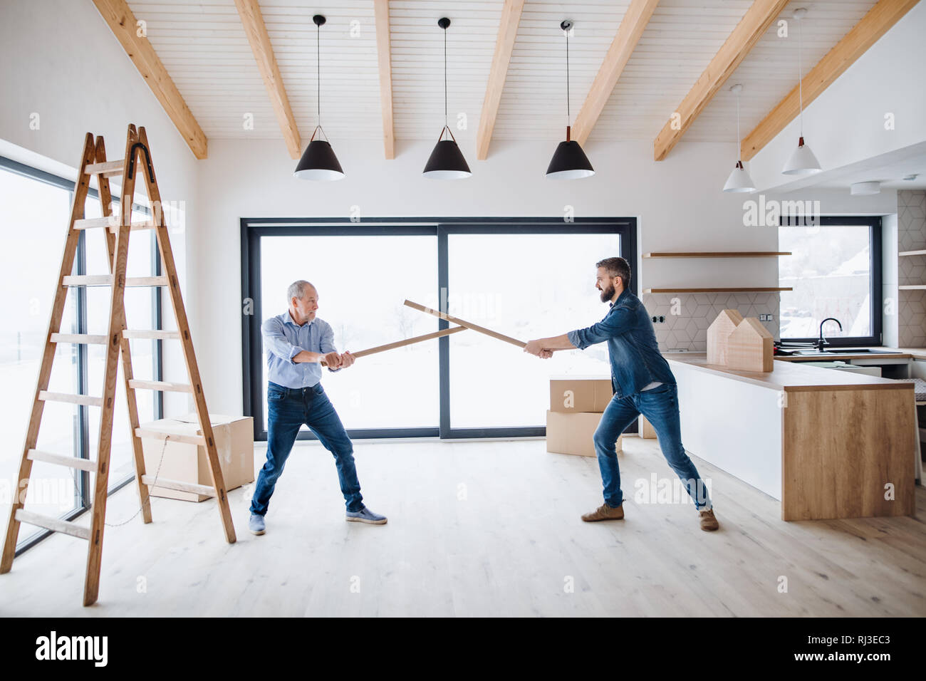 Two men having fun when furnishing new house, a new home concept Stock ...