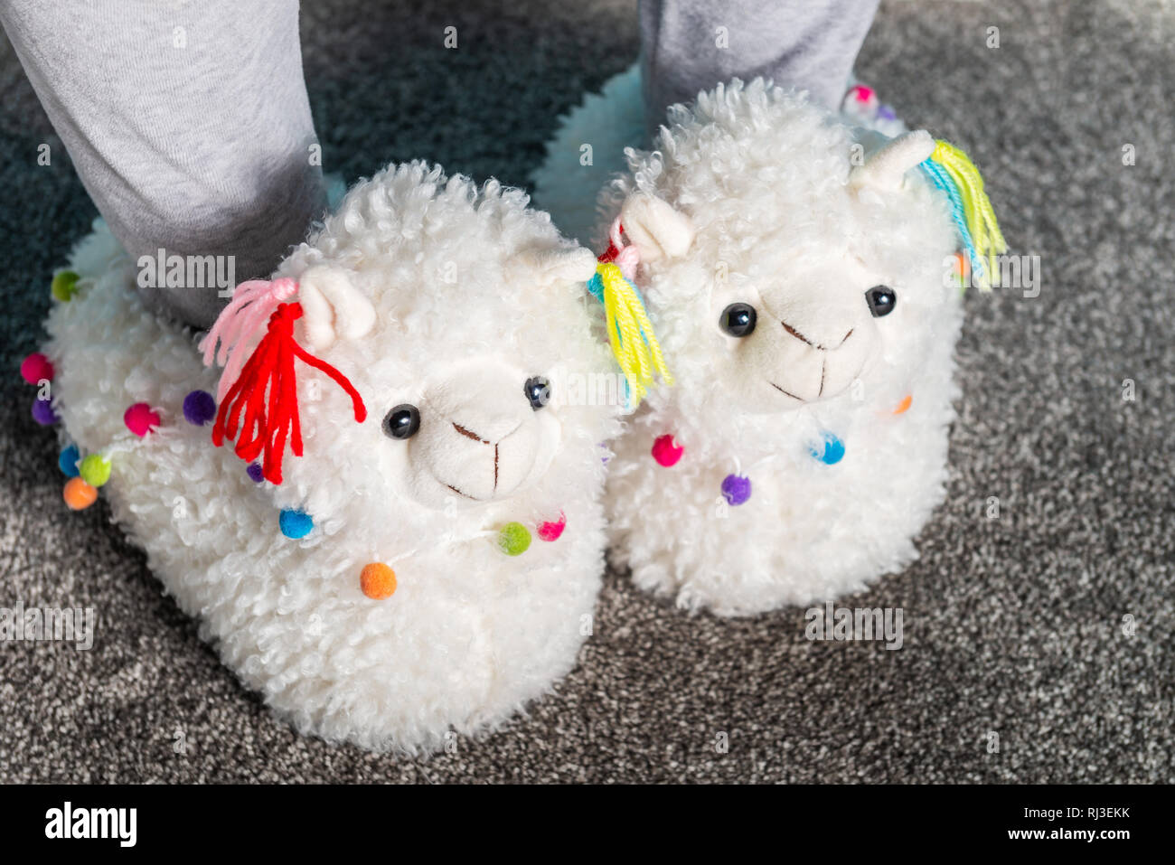 Young girl is wearing cute soft 3d llama slippers Stock Photo Alamy