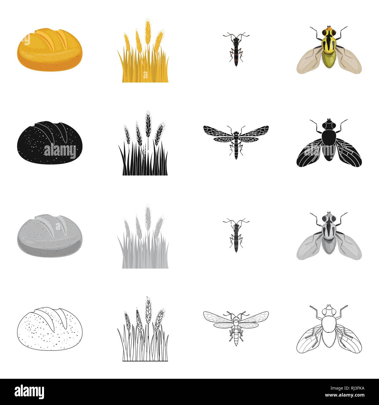bread,spring,fly,spike,insect,barley,pest,food,land,control,breakfast ...