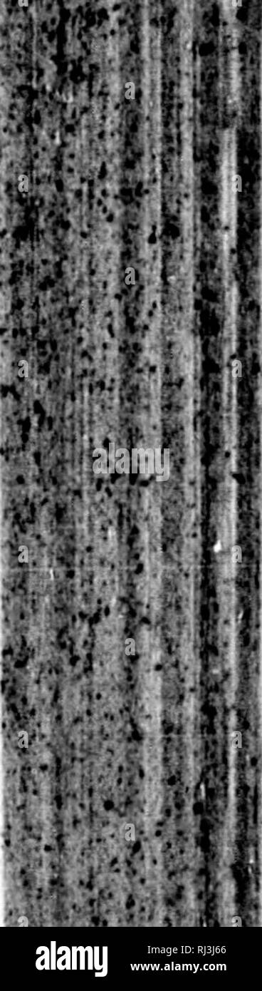 Juge Black And White Stock Photos Images Alamy