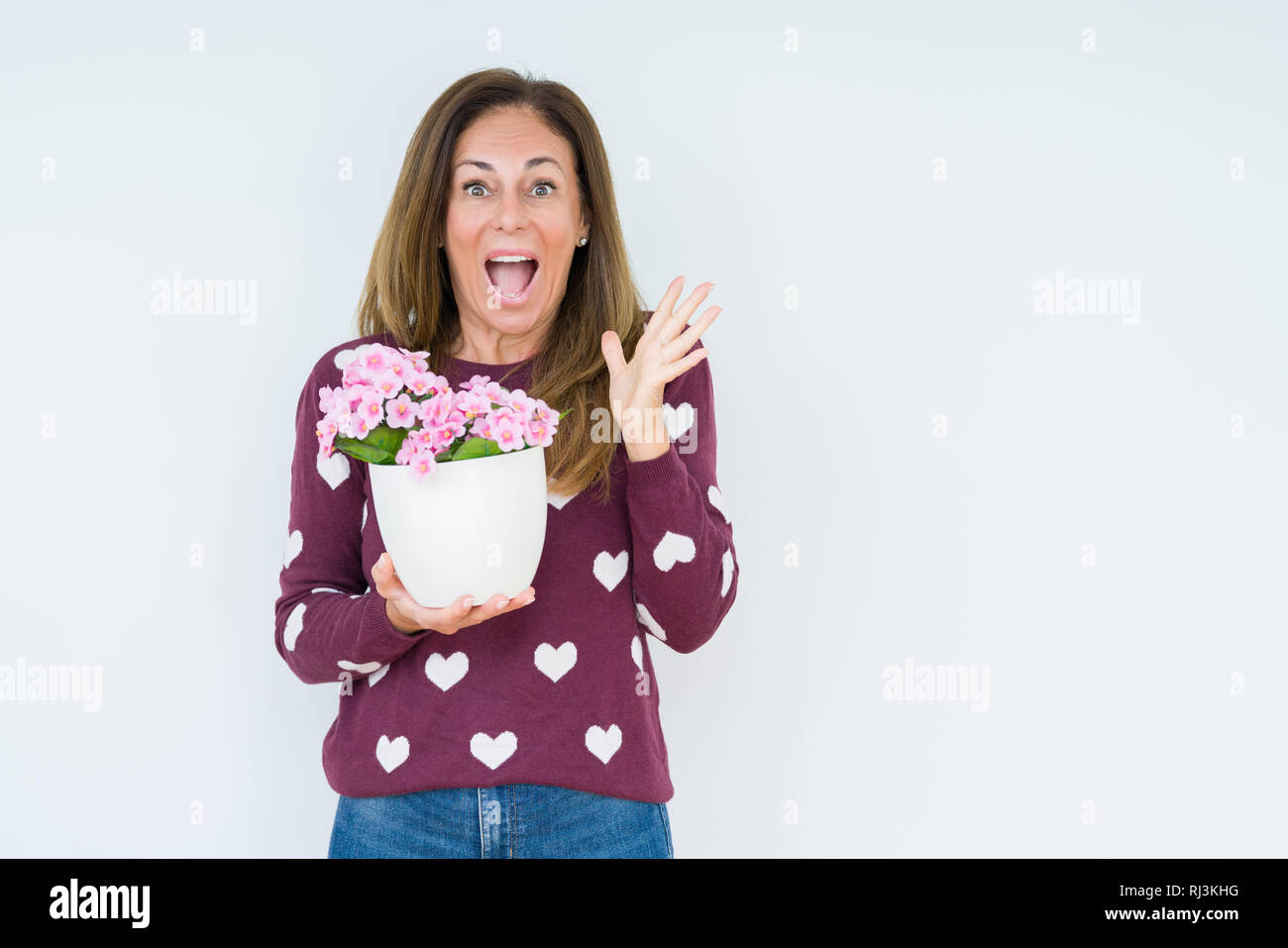 Middle age woman holding flowers pot plant over isolated background very happy and excited, winner expression celebrating victory screaming with big s Stock Photo