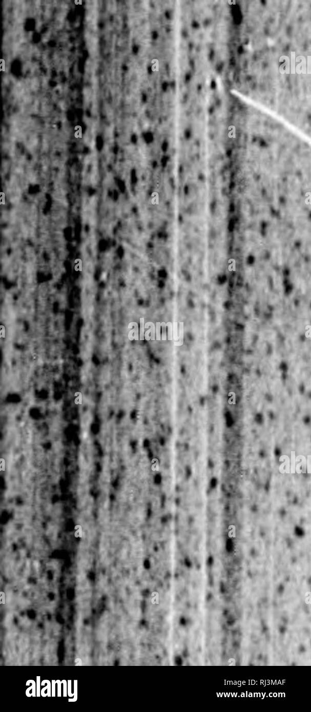 Page 2 Ba Ll High Resolution Stock Photography And Images Alamy