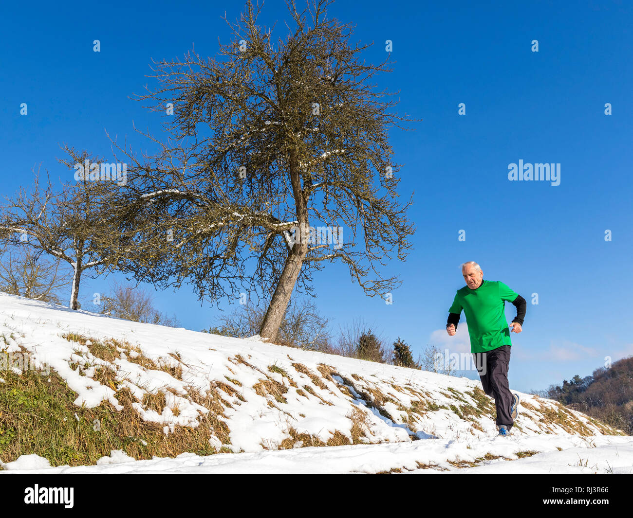 Senior, 70-80 Jahre, kaukasisch, joggen, Schnee Stock Photo
