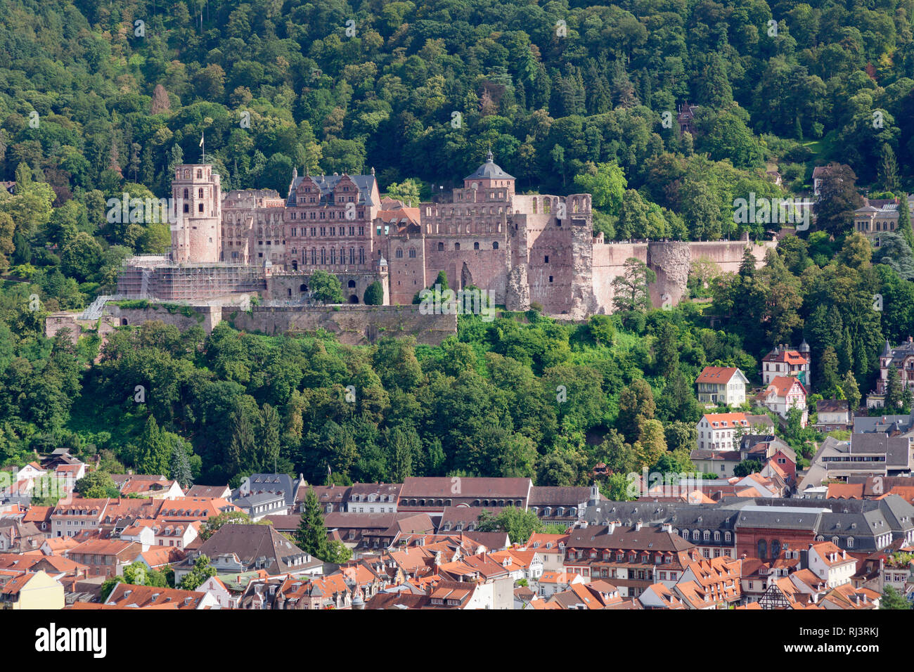 Blick über die Altstadt zum Schloss, Heidelberg, Baden-Württemberg, Deutschland Stock Photo