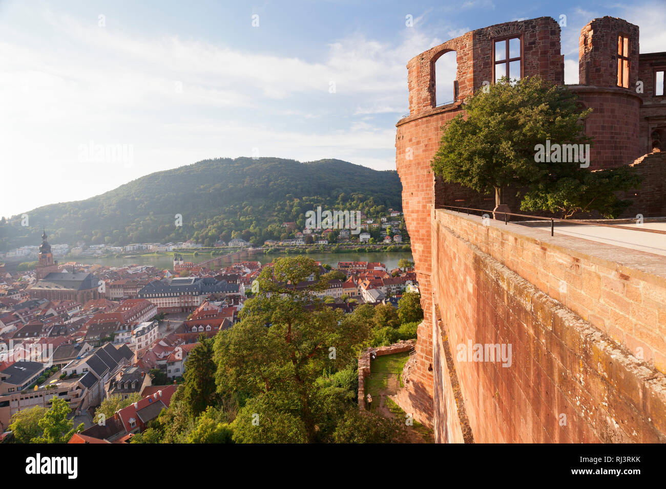 Blick vom Schloss auf die Altstadt, Heidelberg, Baden-Württemberg, Deutschland Stock Photo