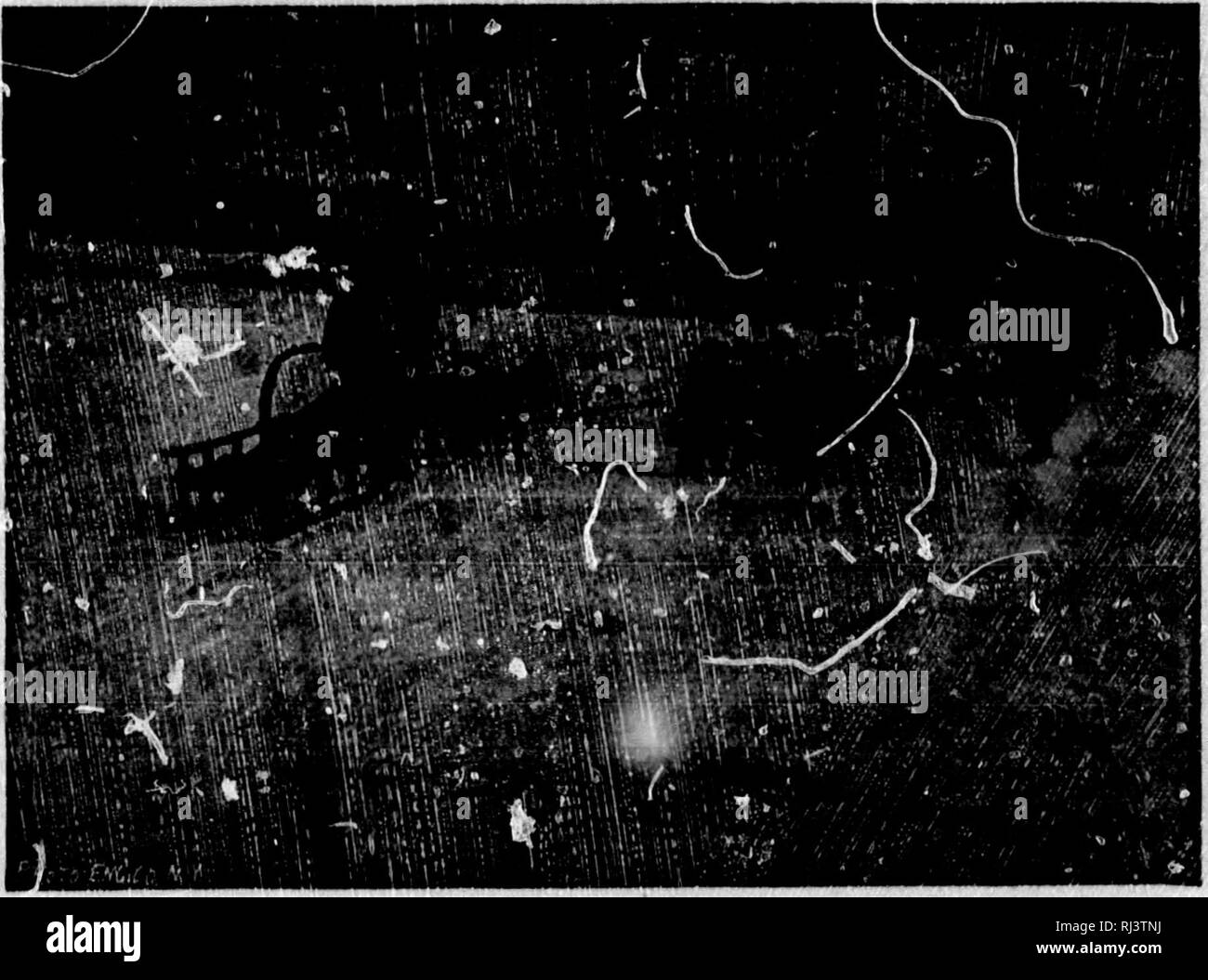 . The Big game of North America [microform] its habits, habitat