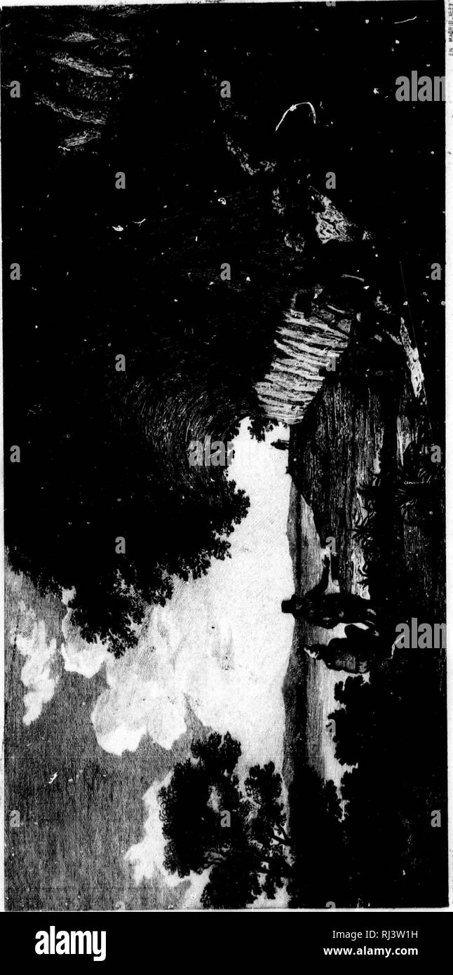 1794 S Black And White Stock Photos Images Page 2 Alamy
