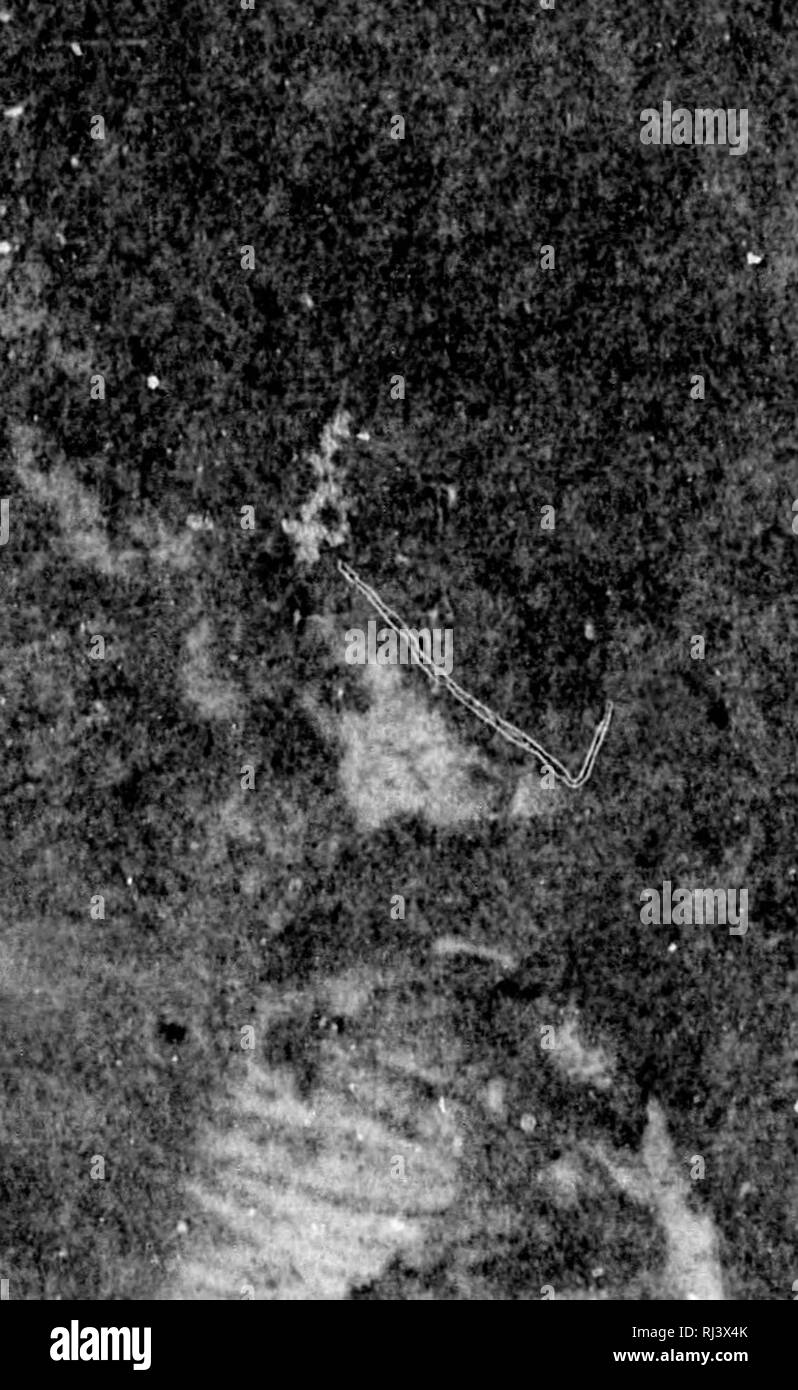 Dil Black And White Stock Photos Images Alamy