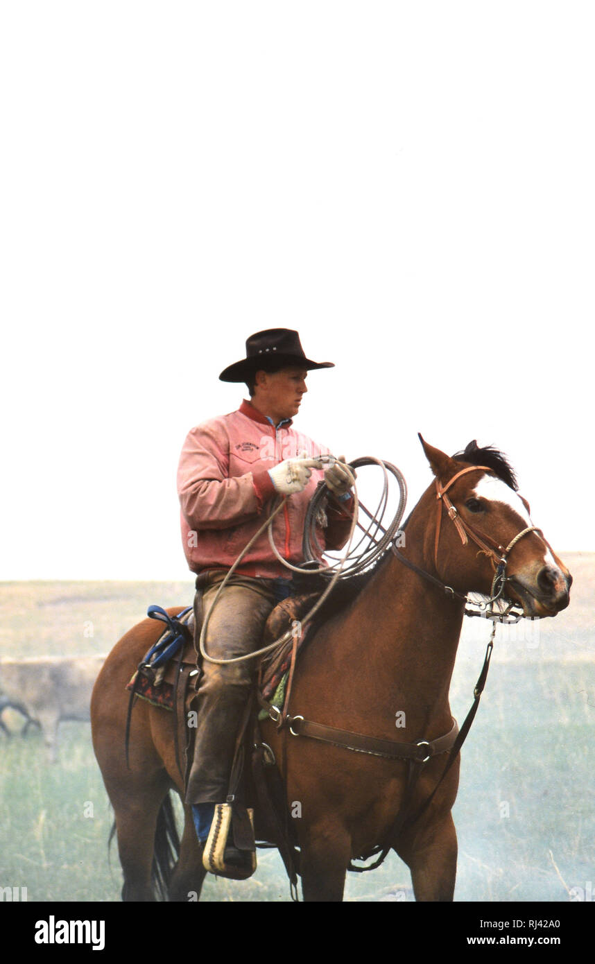 Cowboy on horseback holding a lariat (holding a rope) during a