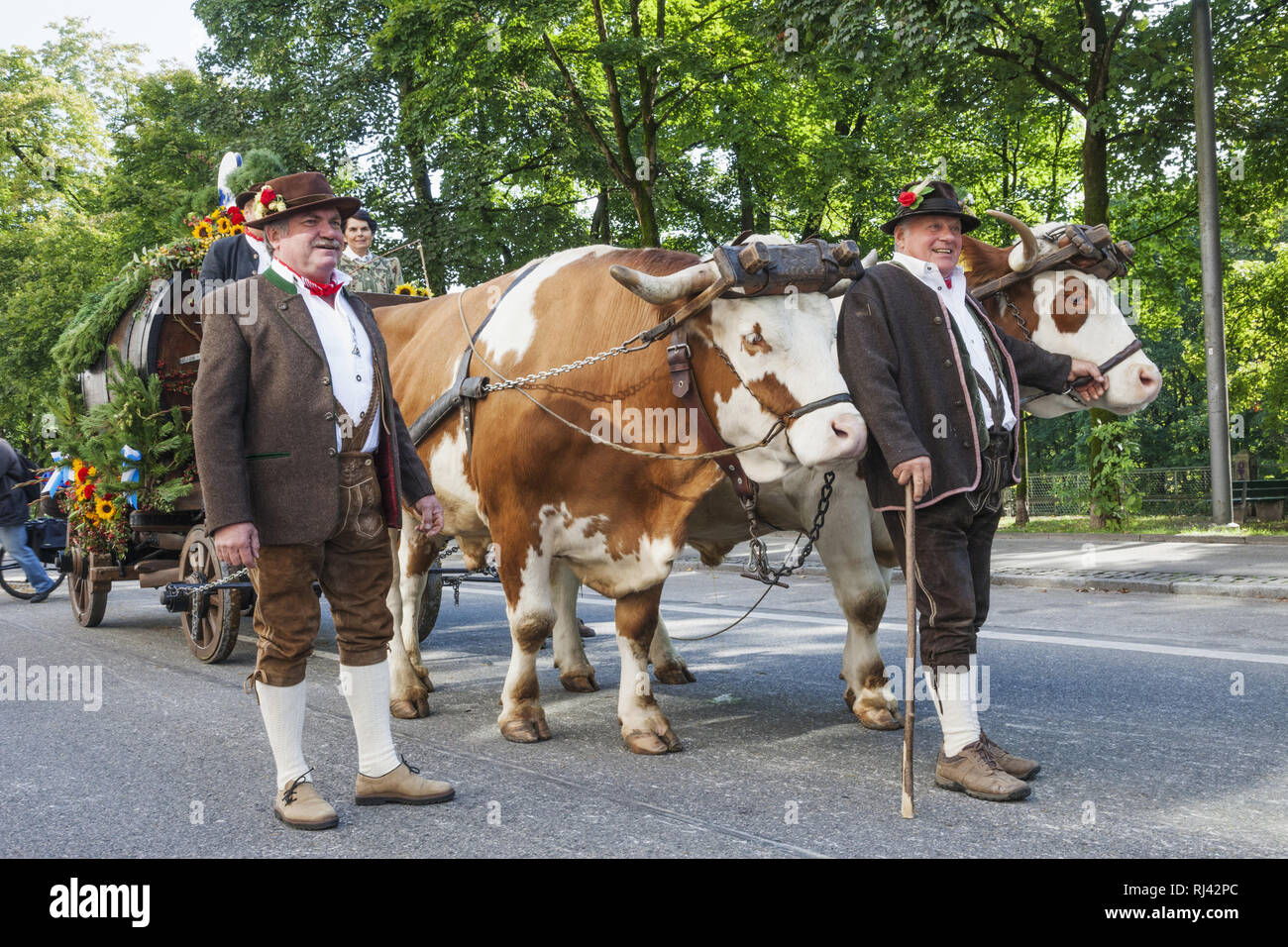 Hmt High Resolution Stock Photography And Images Alamy