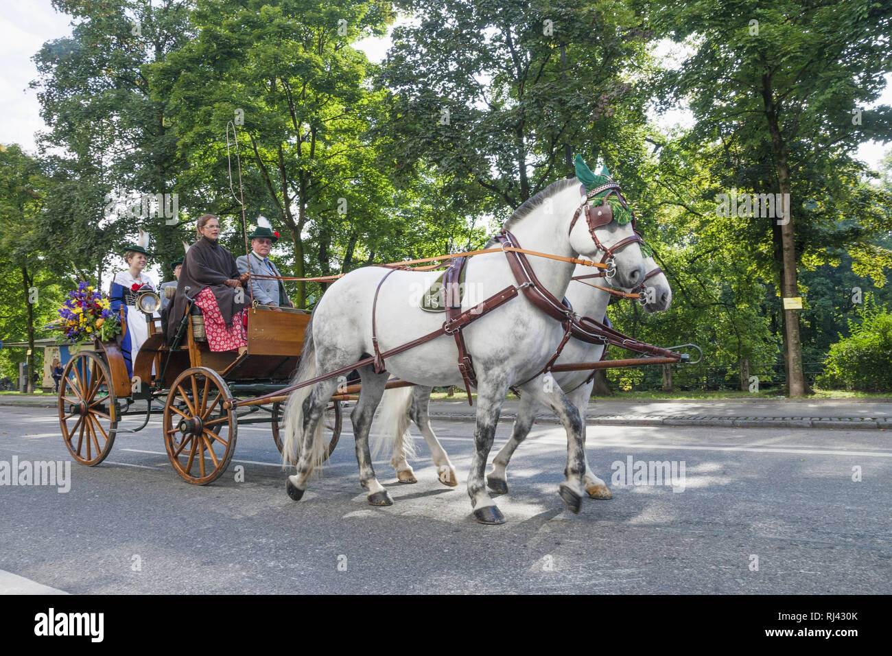 Hmt High Resolution Stock Photography And Images Alamy
