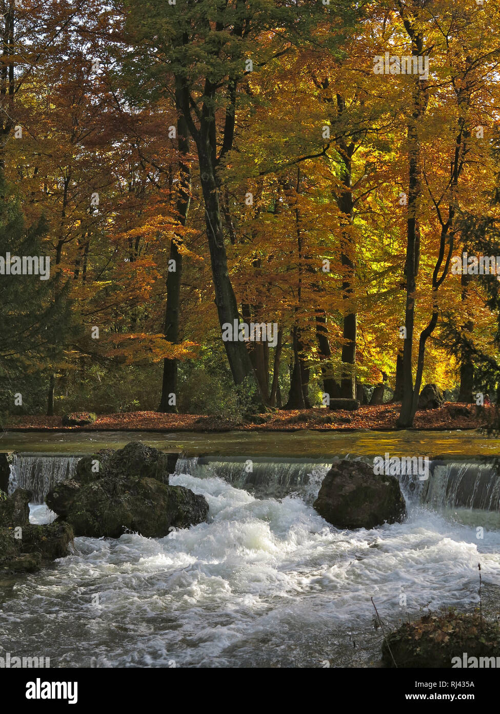 Stadtpark Englischer Garten High Resolution Stock Photography and