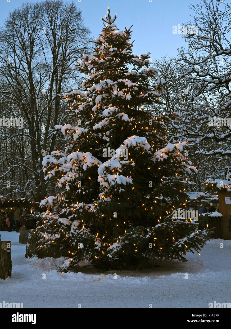 Deutschland, Oberbayern, M?nchen, Englischer Garten, Weihnachtsmarkt am
