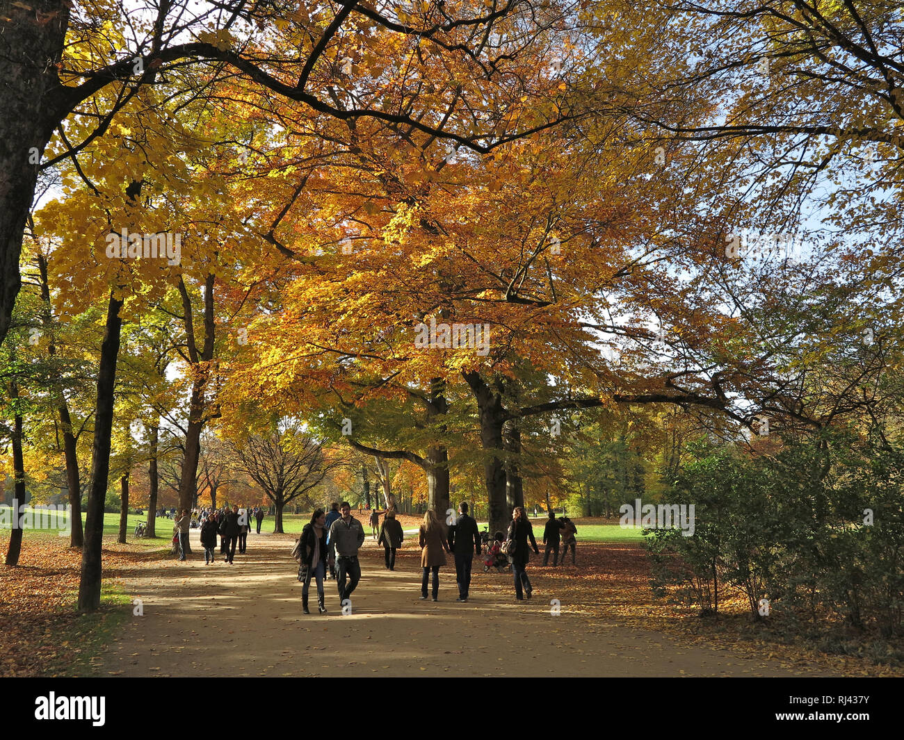 Stadtpark englischer garten hires stock photography and images Alamy