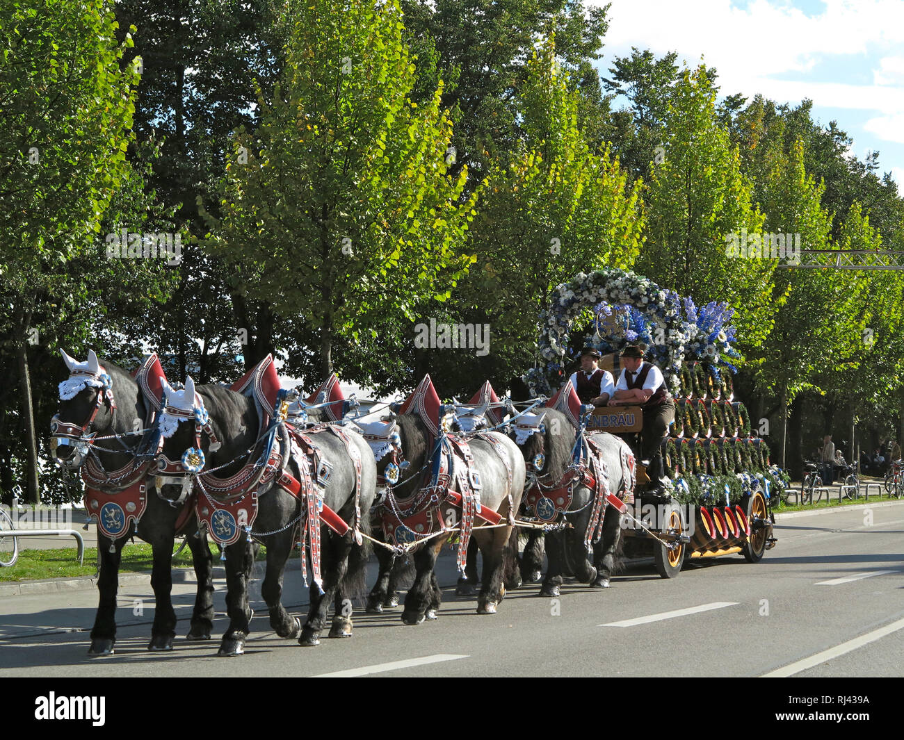 brauereigespann-hi-res-stock-photography-and-images-alamy