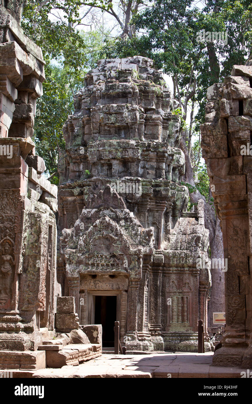 Kambodscha, Provinz Angkor, Tempelanlage Ta Prohm, Stock Photo