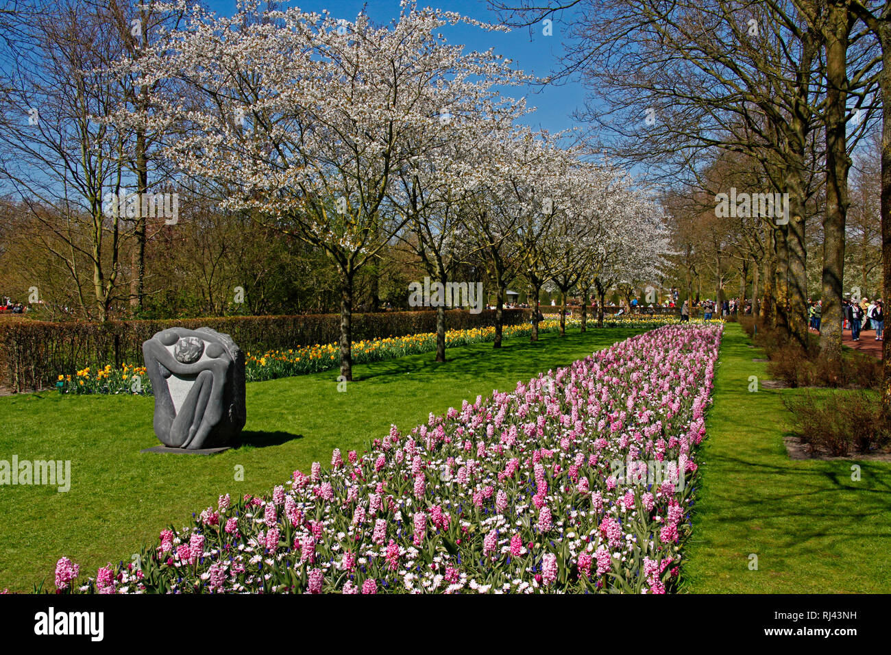Niederlande, Lisse, Keukenhof, Blumenbeete Tulpen und Narzissen, Stock Photo