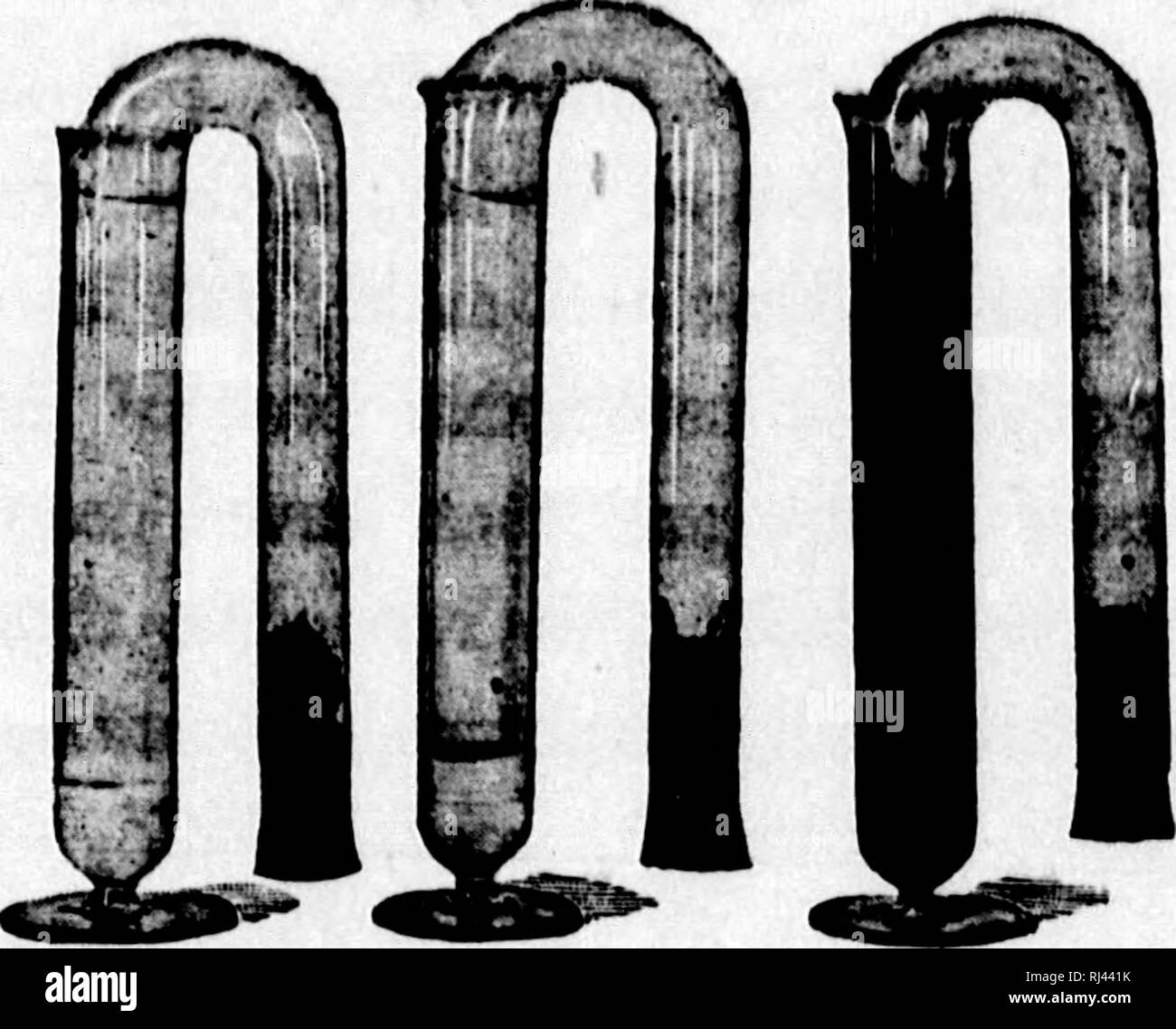 Seeds Germinating Black And White Stock Photos Images Alamy Seeds Germinating Black And White Stock Photos Images Alamy