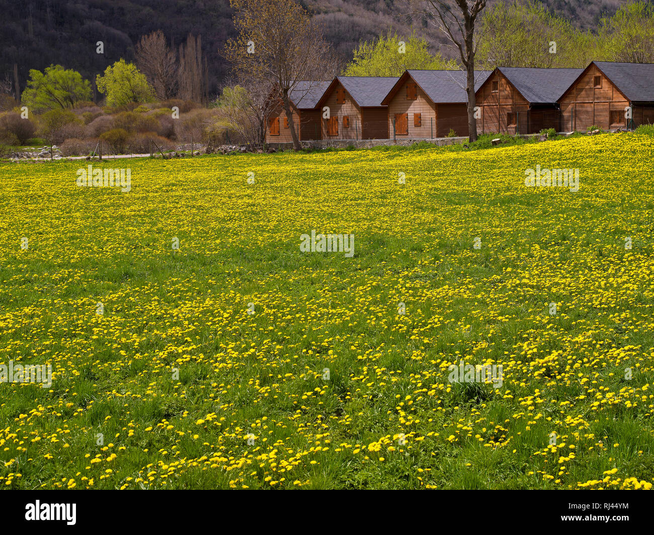 Pyrenees Springtime, Huesca, Spain Stock Photo