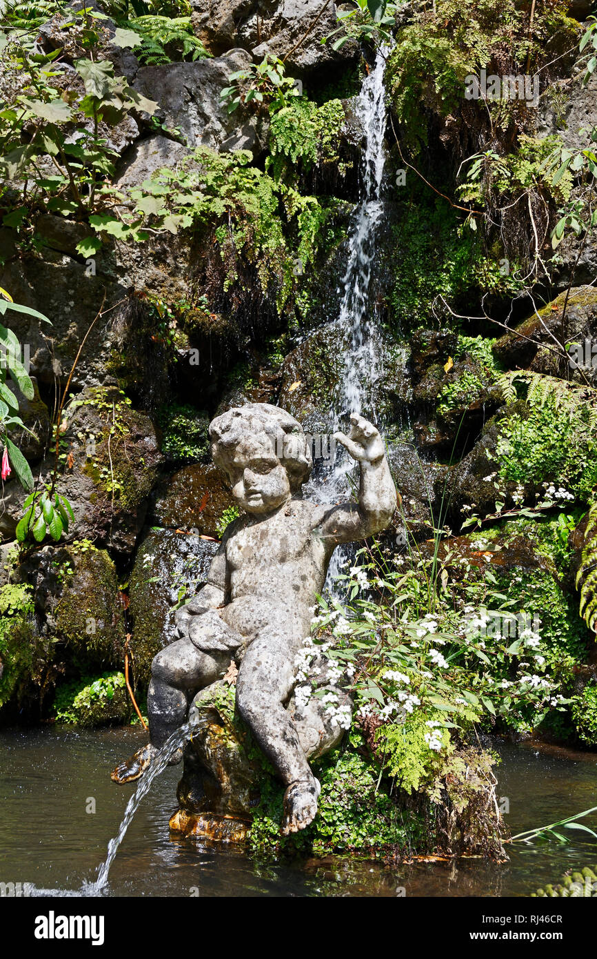 Funchal, Tropischer Garten Monte Stock Photo Alamy