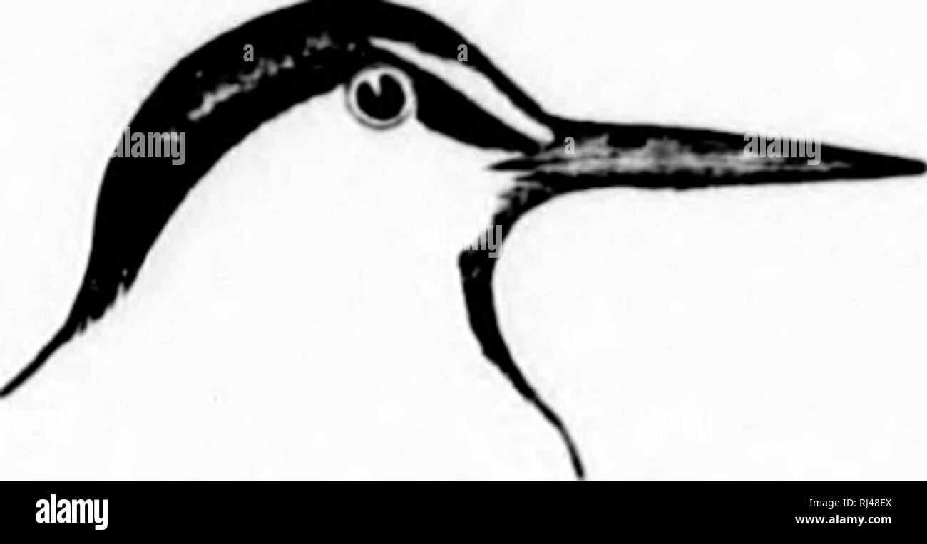 Lj 2 Black And White Stock Photos Images Alamy