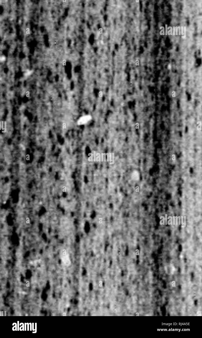 Port Of Spain Gazette