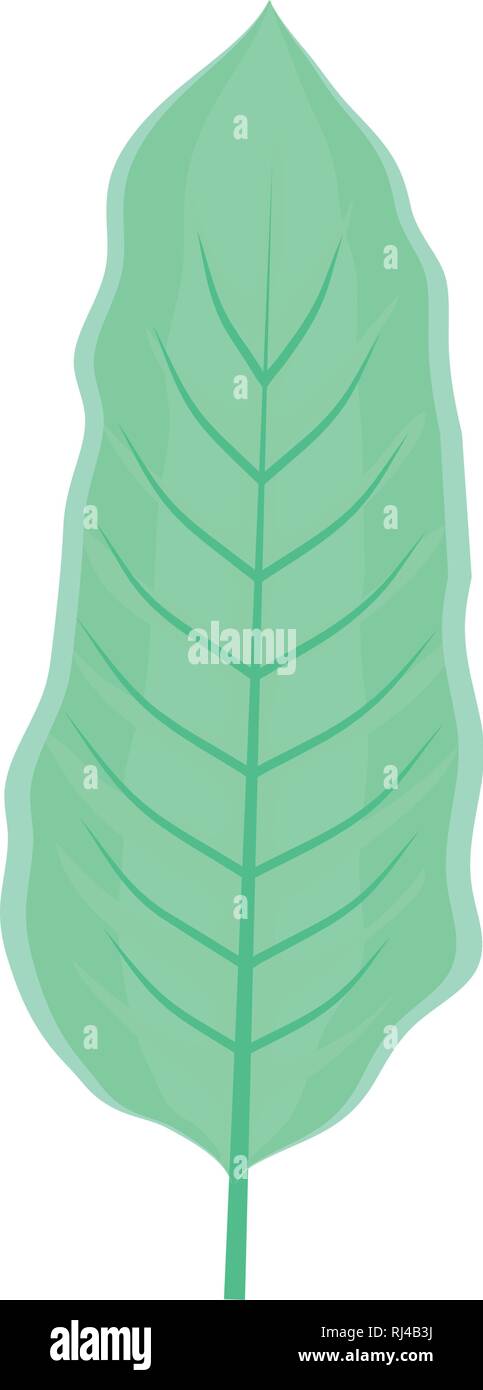 ecology leaf plant icon vector illustration design Stock Vector Image ...