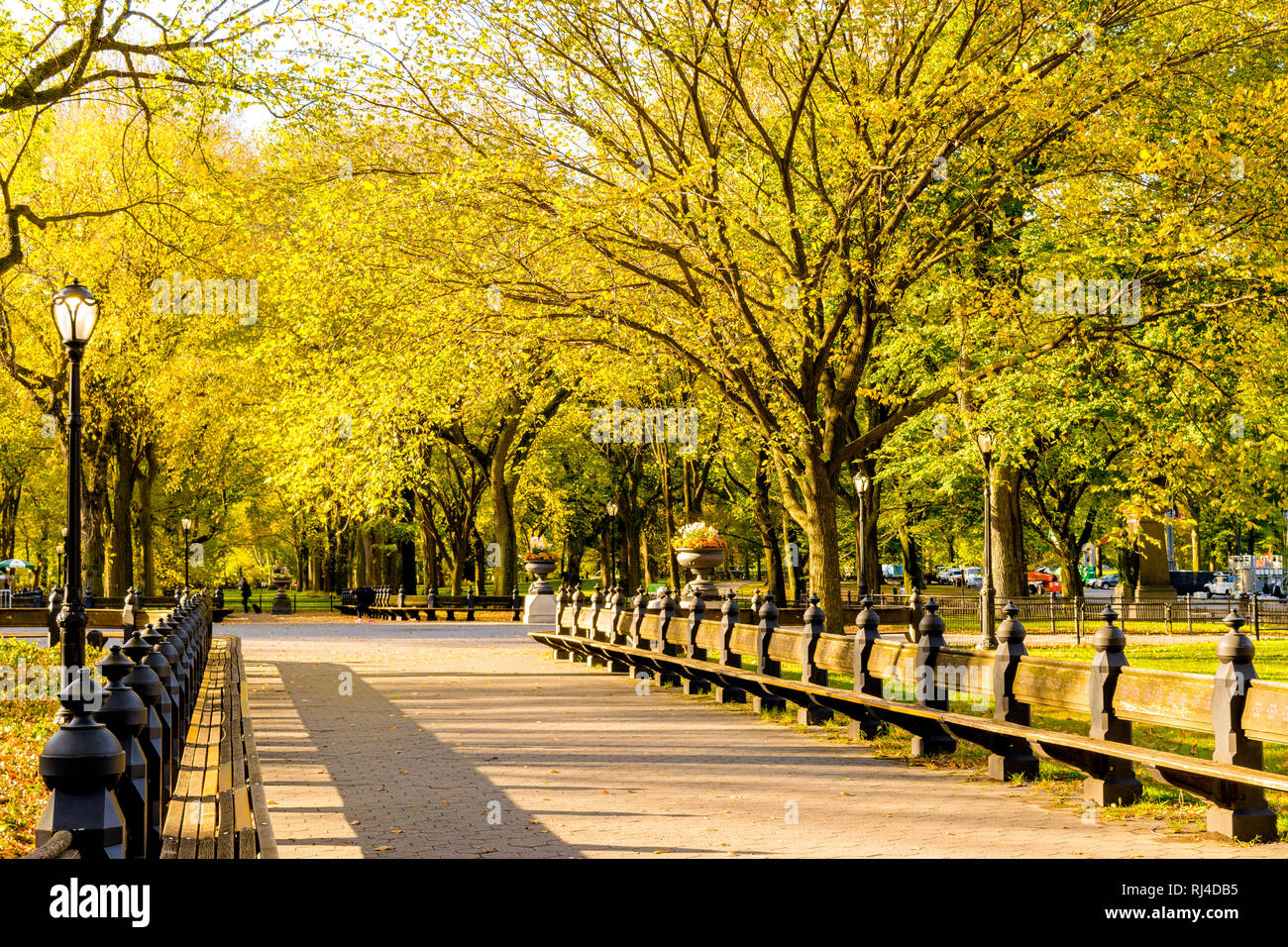 Beautiful scenery inside Central Park New York during the colorful Autumn/Fall season Stock Photo
