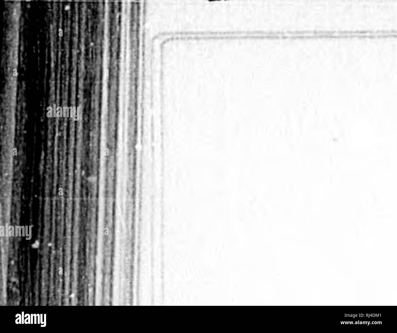 . With rod and gun in New England and the Maritime provinces [microform]. Hunting; Fishing; Hunting; Fishing; Chasse; Pêche sportive; Chasse; Pêche sportive. •-.'74 Wti/i Rod and Cun in New Eng/and m i: ill j, I m Ff ! P' ^ 1 coulu. Several thousand eighteen months old Atlantic salmon have also been rehased. Lake trout have been introduced intc several of the lakes a 'apfed to their occupancy and in some of these waters, at least, they are doing well. The brown or Europ'r^an trout are to be found in many of our streams and they are certainly here to stay. As to their being a desirable acquisi Stock Photo