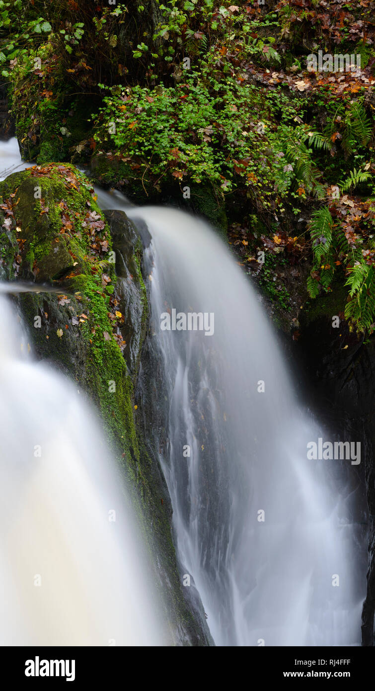 Deutschland, Rheinland-Pfalz, Eifel, Endert, Endert Wasserfall im Herbst Stock Photo