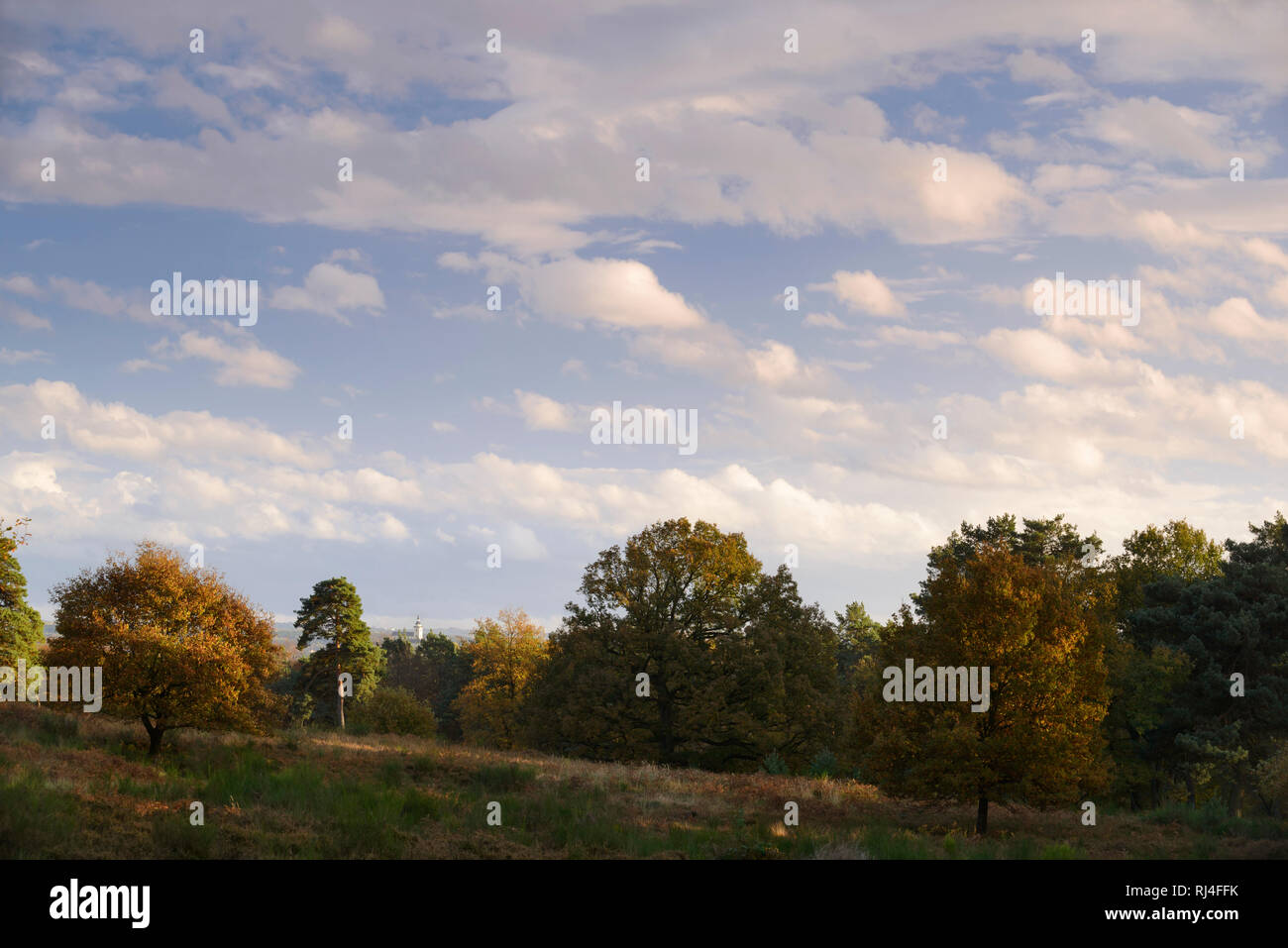 Deutschland, Nordrhein-Westfalen, Wahner Heide, Blick von der Wahner Heide auf Abtei Michaelsberg im Herbst Stock Photo