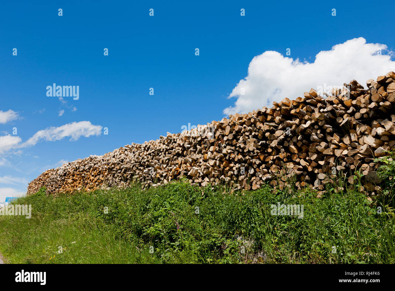 Aufgestapeltes Brennholz Stock Photo