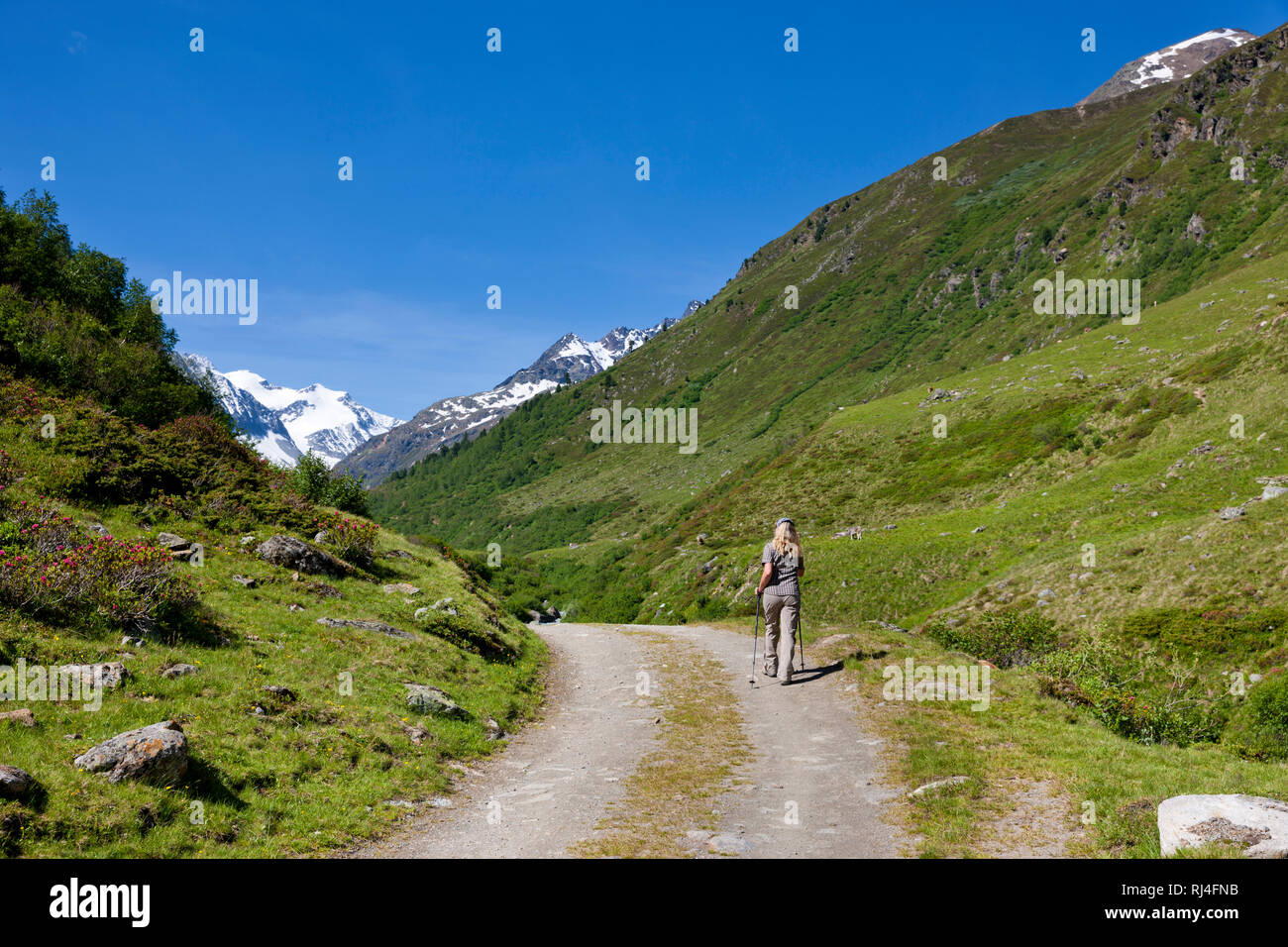 Frau beim Wandern, Pitztal, Tirol Stock Photo