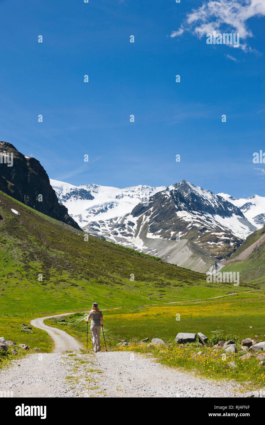 Frau beim Wandern, Pitztal, Tirol Stock Photo