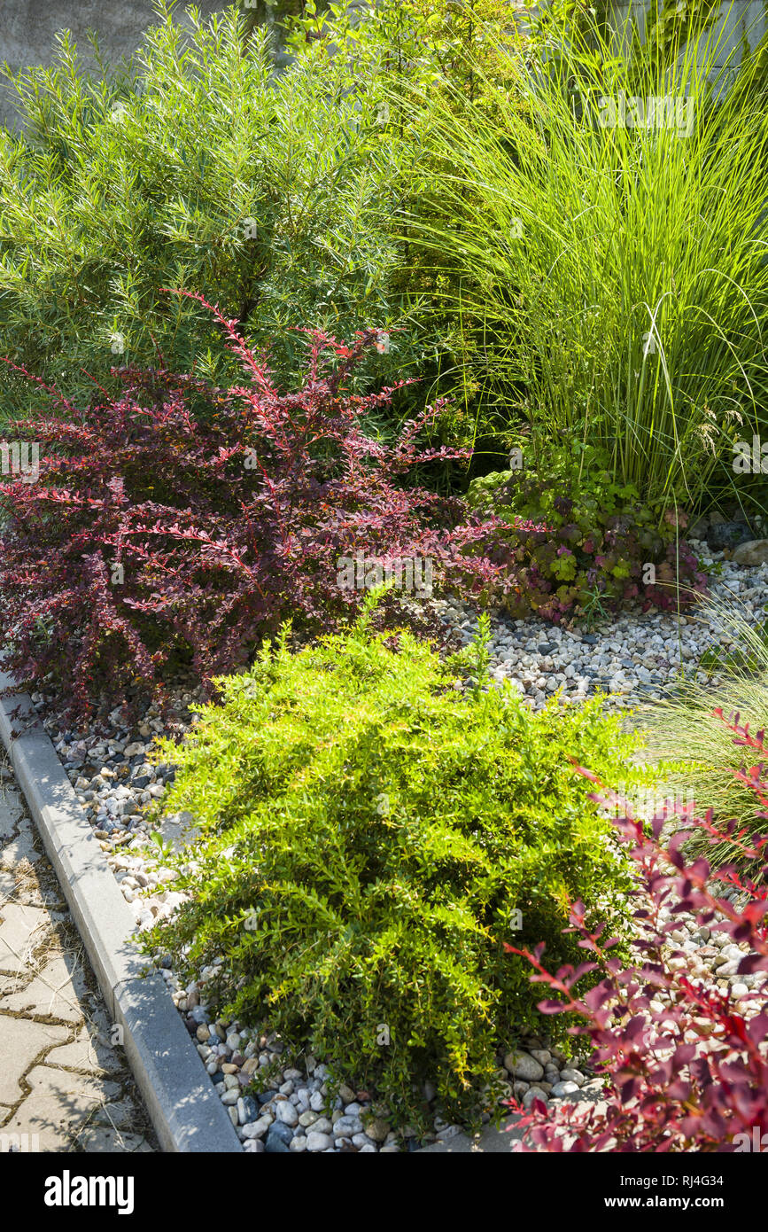 Sidewalk as front garden with trees and shrubs Stock Photo - Alamy
