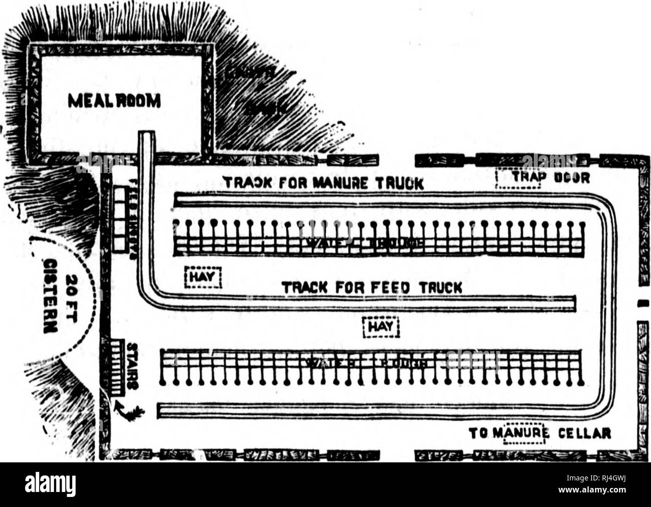 The Illustrated Stock Doctor And Live Stock Encyclopedia