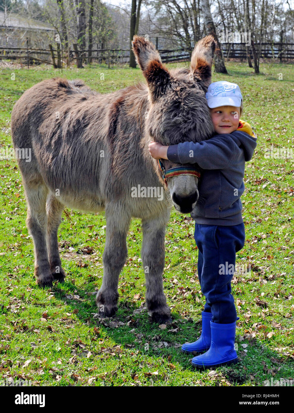 Kleiner Junge umarmt Eselfreund, Begr?ssung Stock Photo