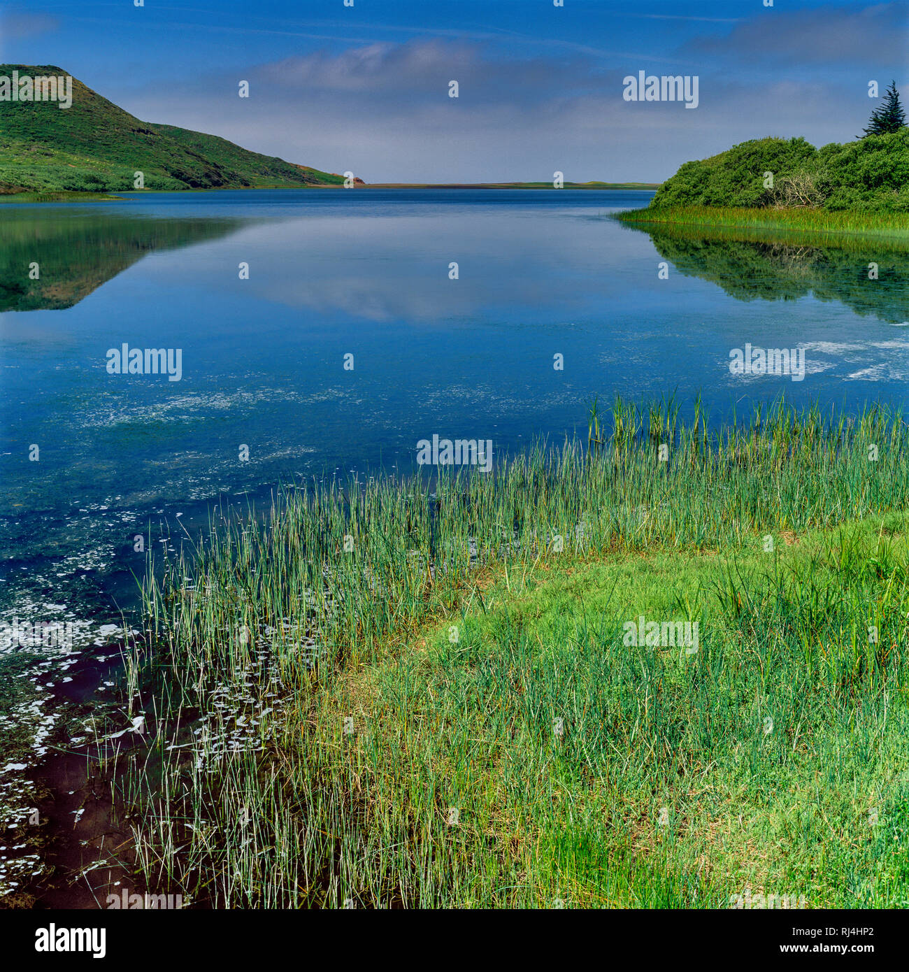 Rodeo Lagoon, Golden Gate National Recreation Area, Marin County, California Stock Photo Alamy