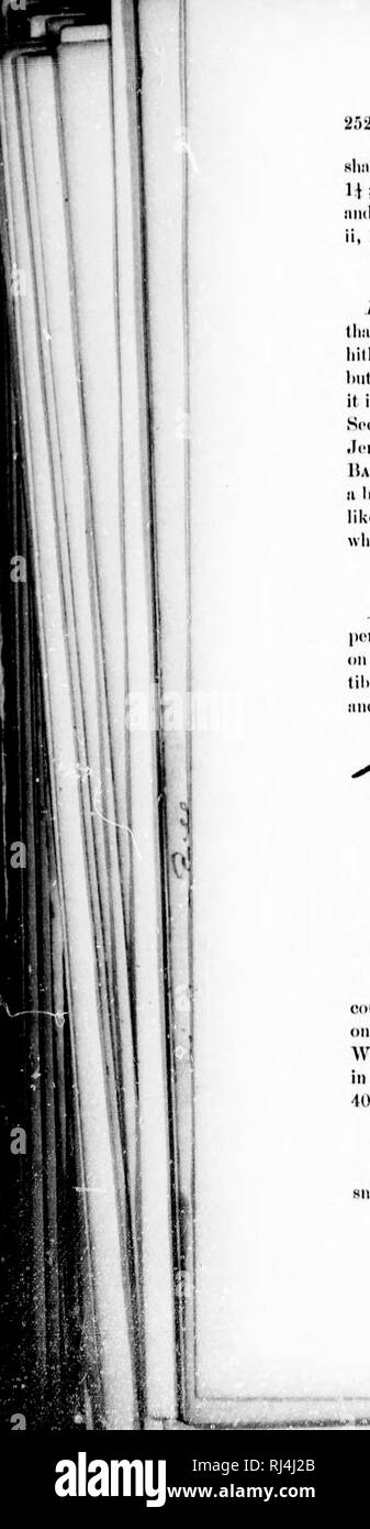 Fi Pi Li High Resolution Stock Photography And Images Alamy